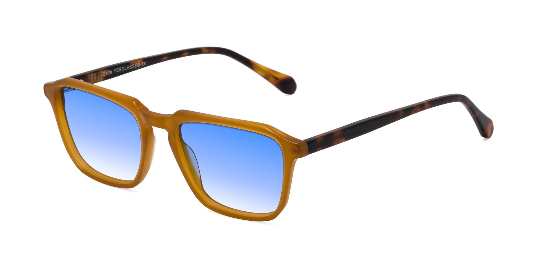 Angle of Calm in Caramel-Tortoise with Blue Gradient Lenses