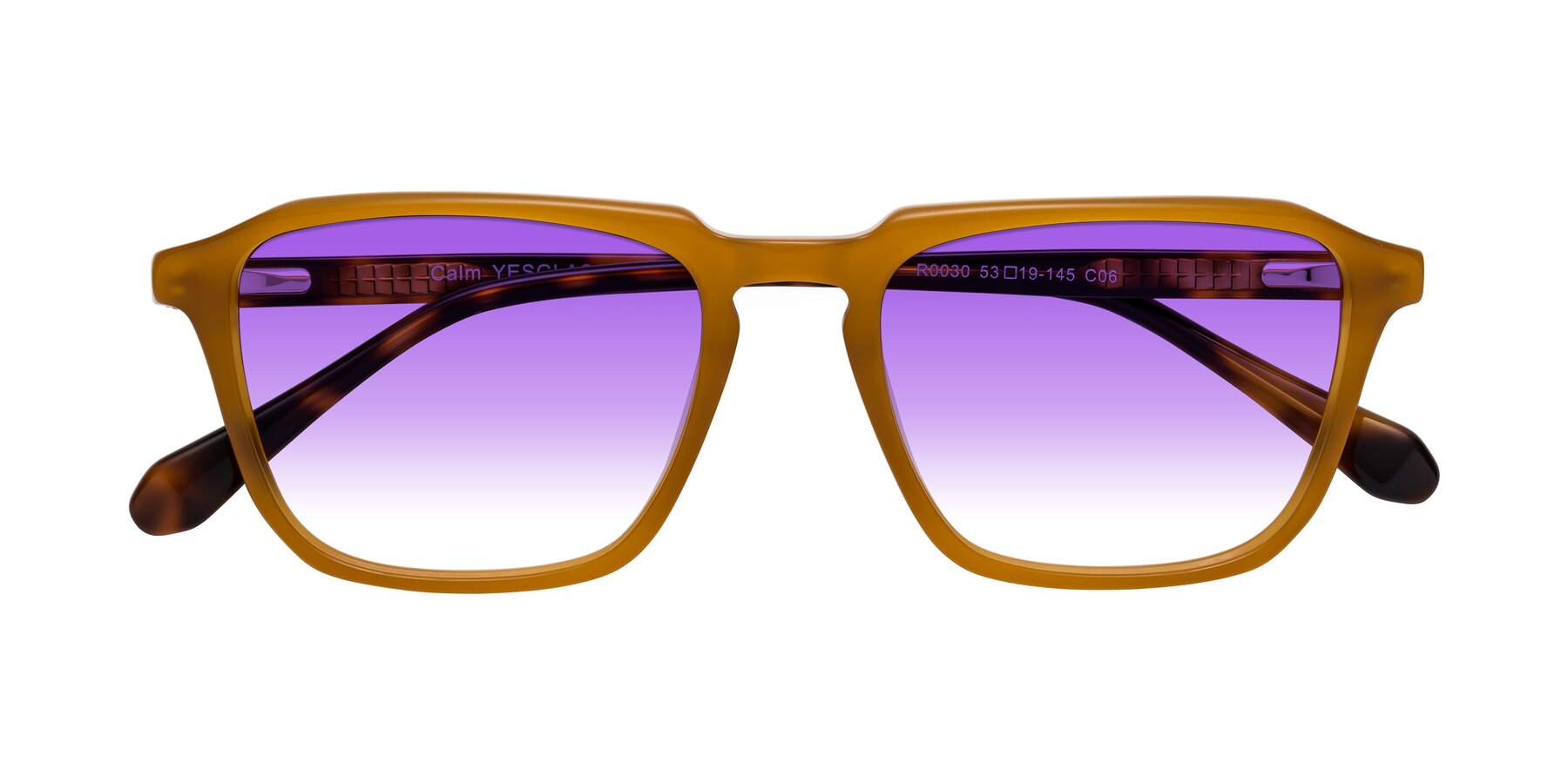 Folded Front of Calm in Caramel-Tortoise with Purple Gradient Lenses