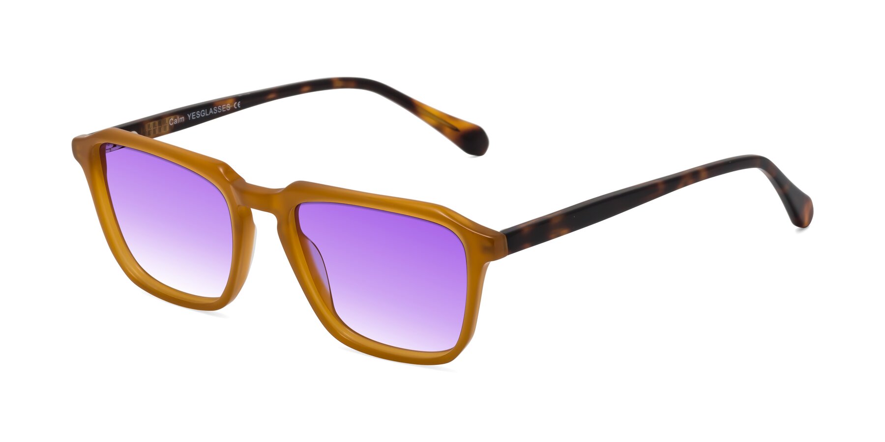 Angle of Calm in Caramel-Tortoise with Purple Gradient Lenses