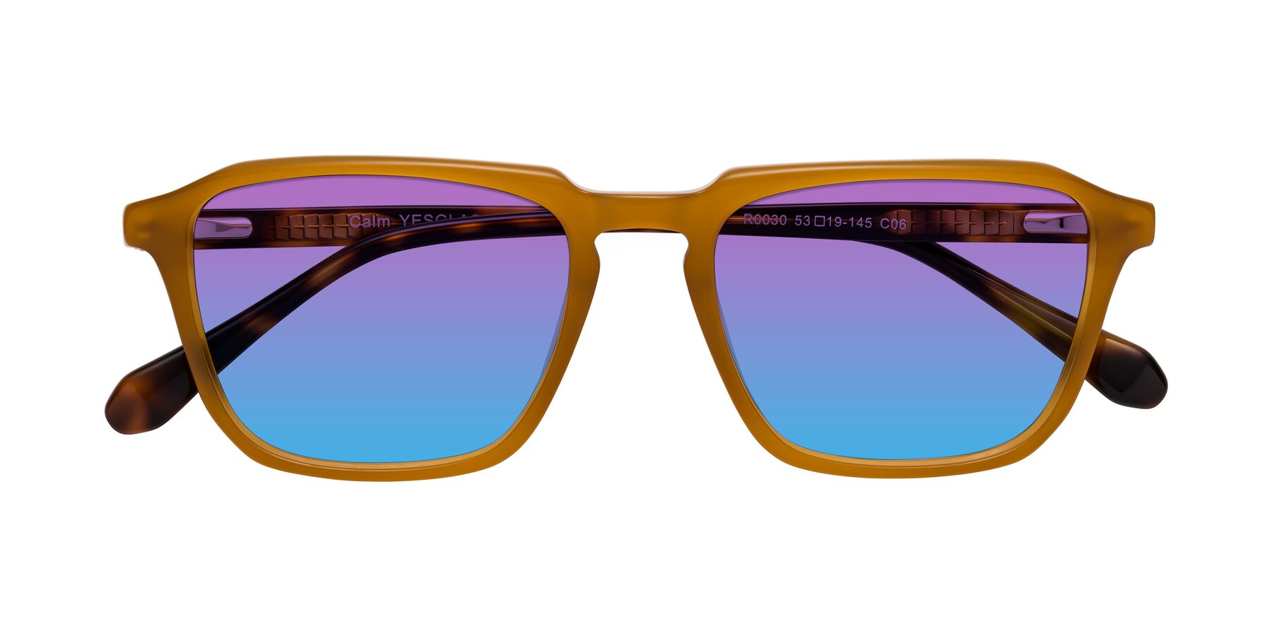 Folded Front of Calm in Caramel-Tortoise with Purple / Blue Gradient Lenses