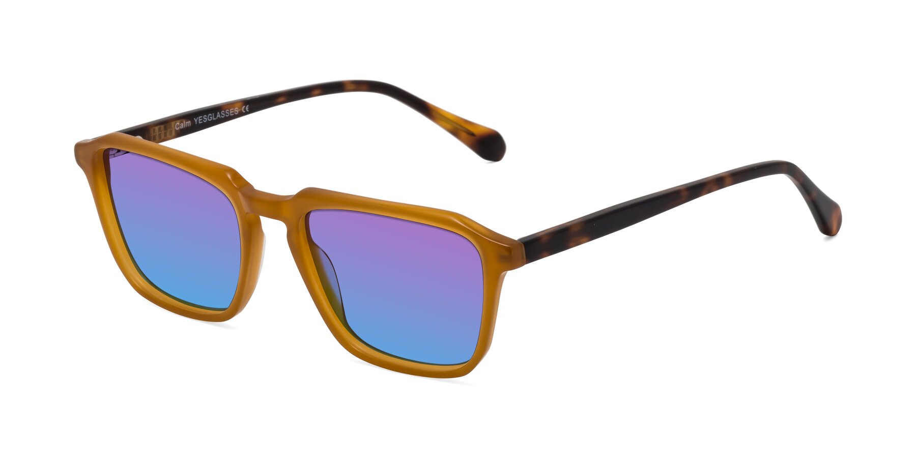 Angle of Calm in Caramel-Tortoise with Purple / Blue Gradient Lenses