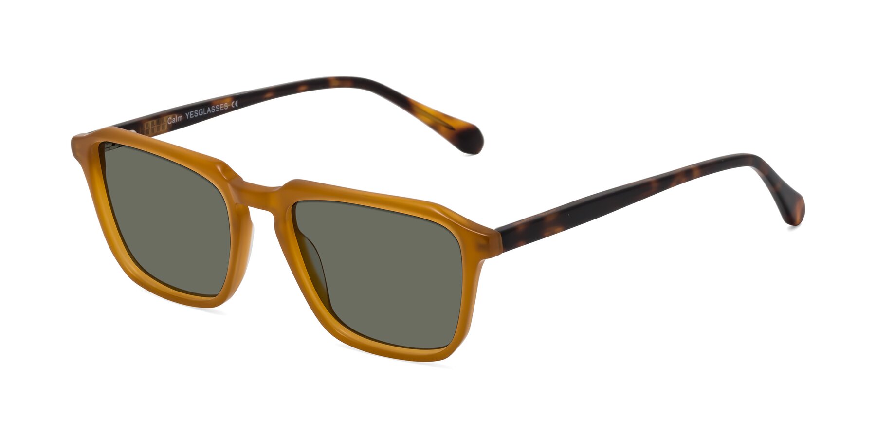 Angle of Calm in Caramel-Tortoise with Gray Polarized Lenses