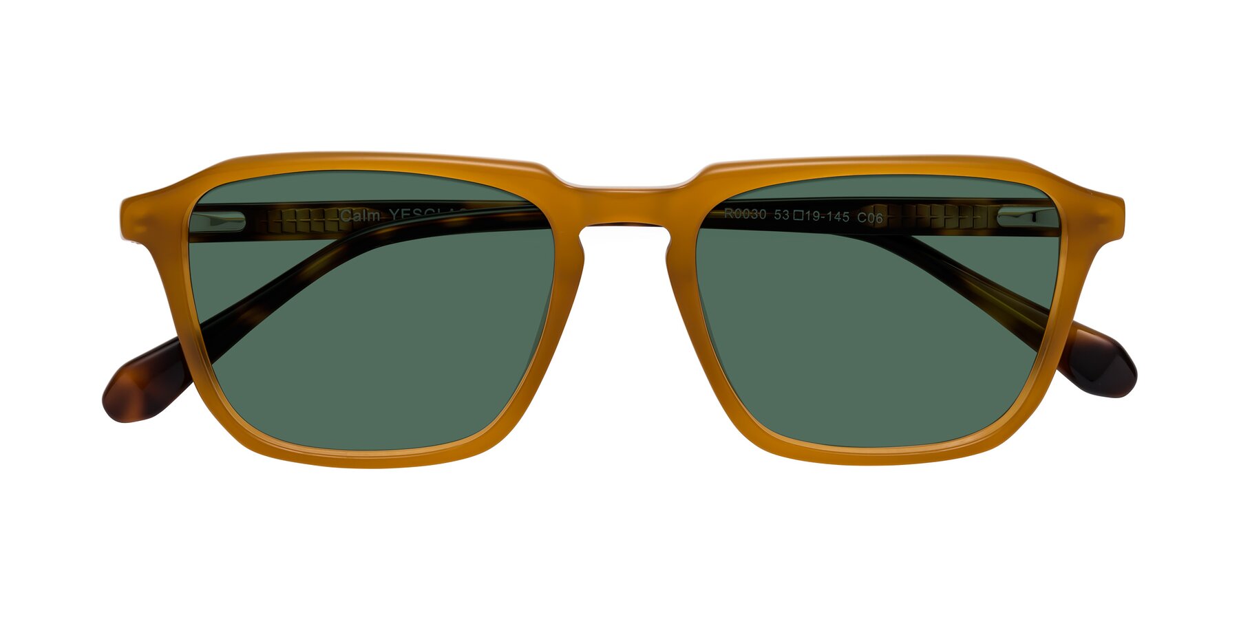 Folded Front of Calm in Caramel-Tortoise with Green Polarized Lenses