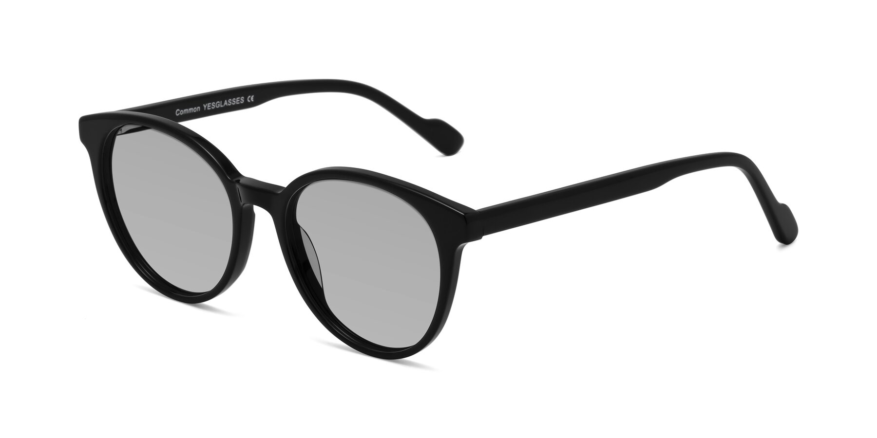 Angle of Common in Black with Light Gray Tinted Lenses