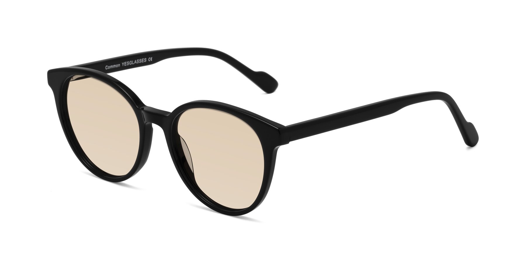 Angle of Common in Black with Light Brown Tinted Lenses