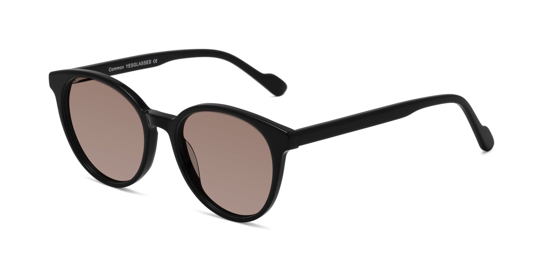 Angle of Common in Black with Medium Brown Tinted Lenses