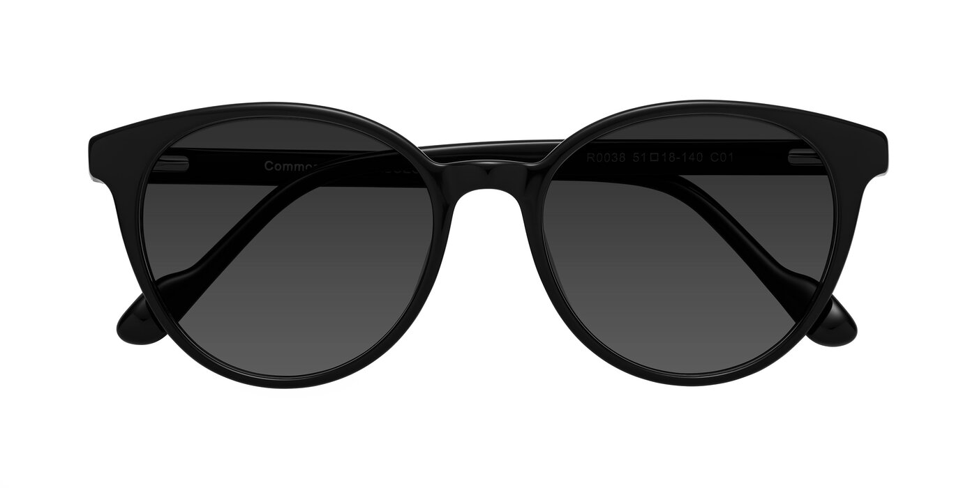 Common - Black Tinted Sunglasses