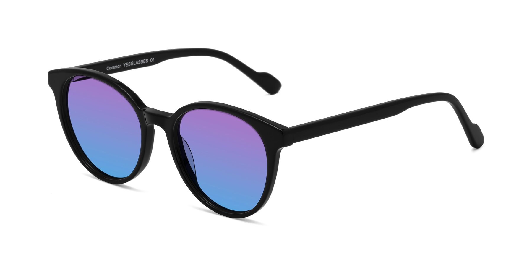 Angle of Common in Black with Purple / Blue Gradient Lenses