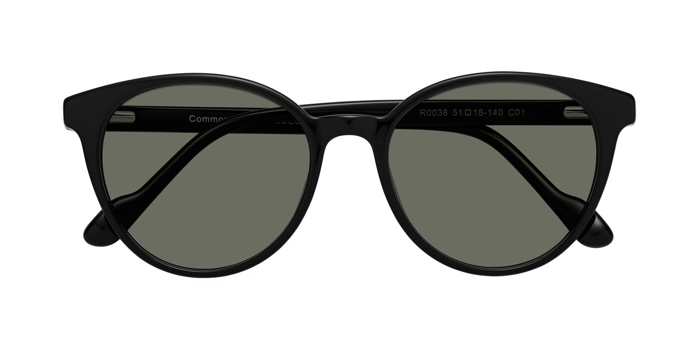 Common - Black Polarized Sunglasses