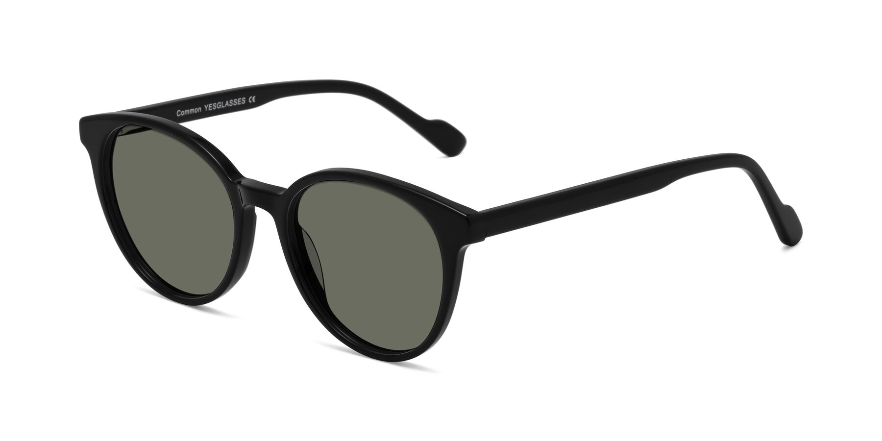 Angle of Common in Black with Gray Polarized Lenses