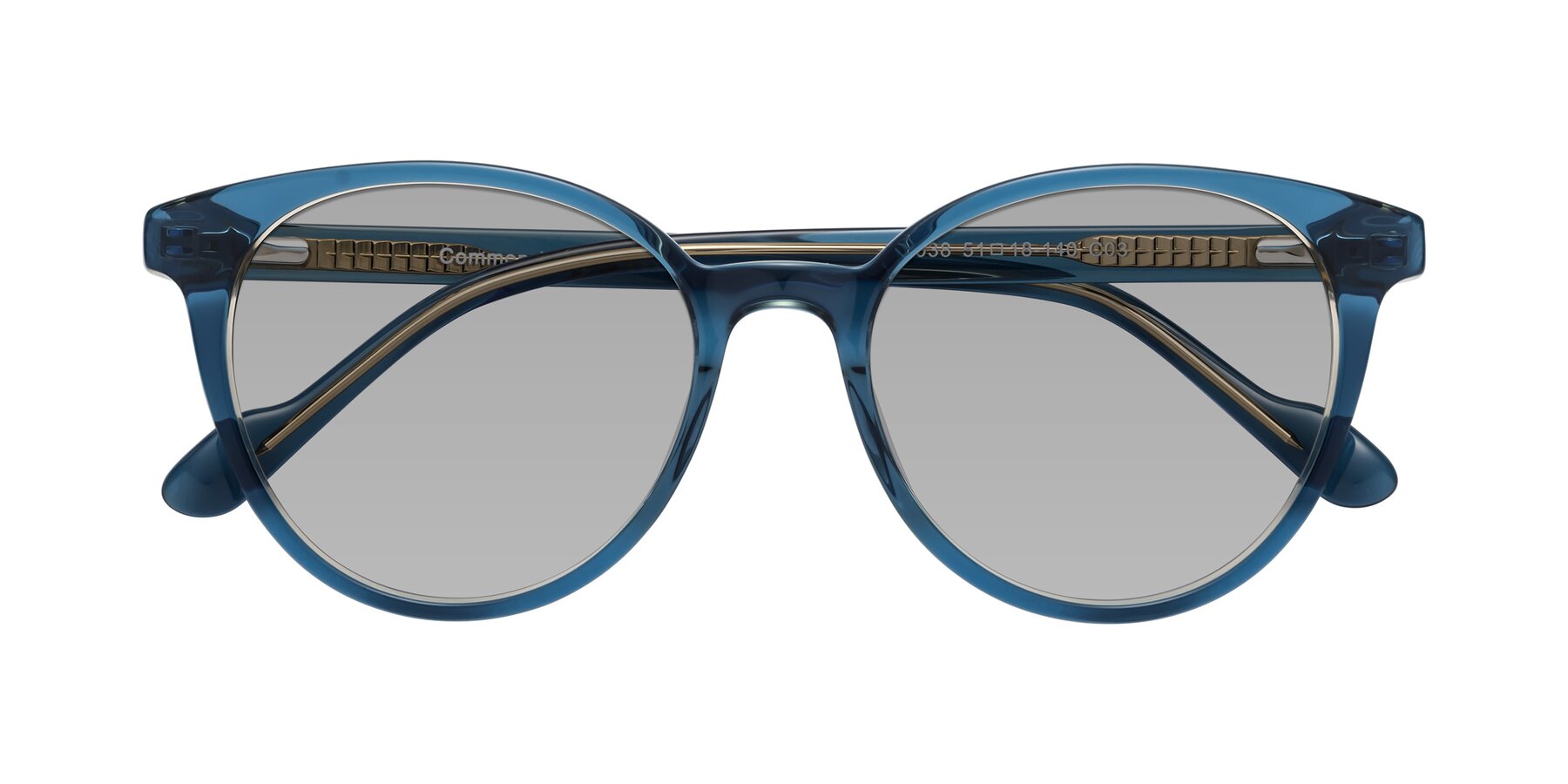 Folded Front of Common in Blue with Light Gray Tinted Lenses