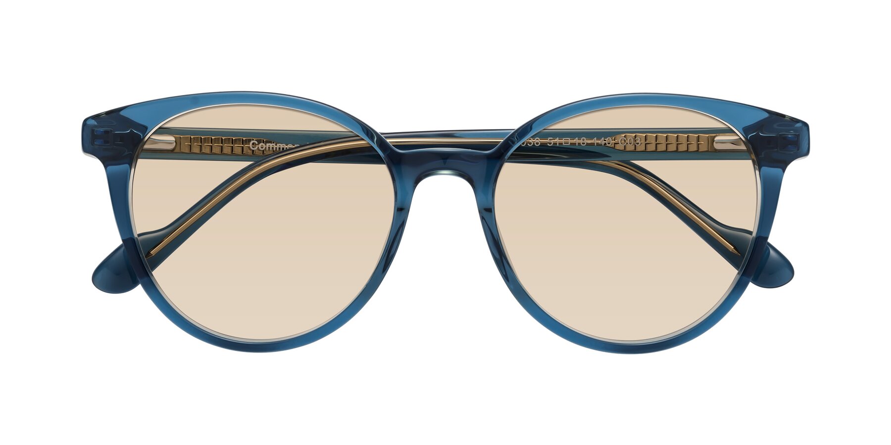 Folded Front of Common in Blue with Light Brown Tinted Lenses