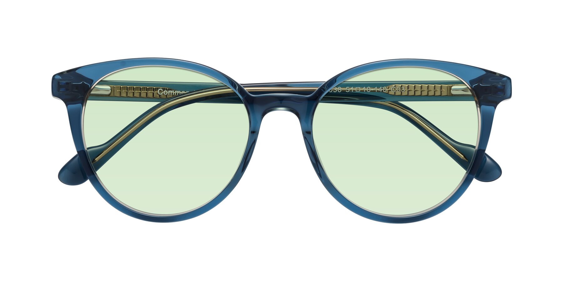 Folded Front of Common in Blue with Light Green Tinted Lenses