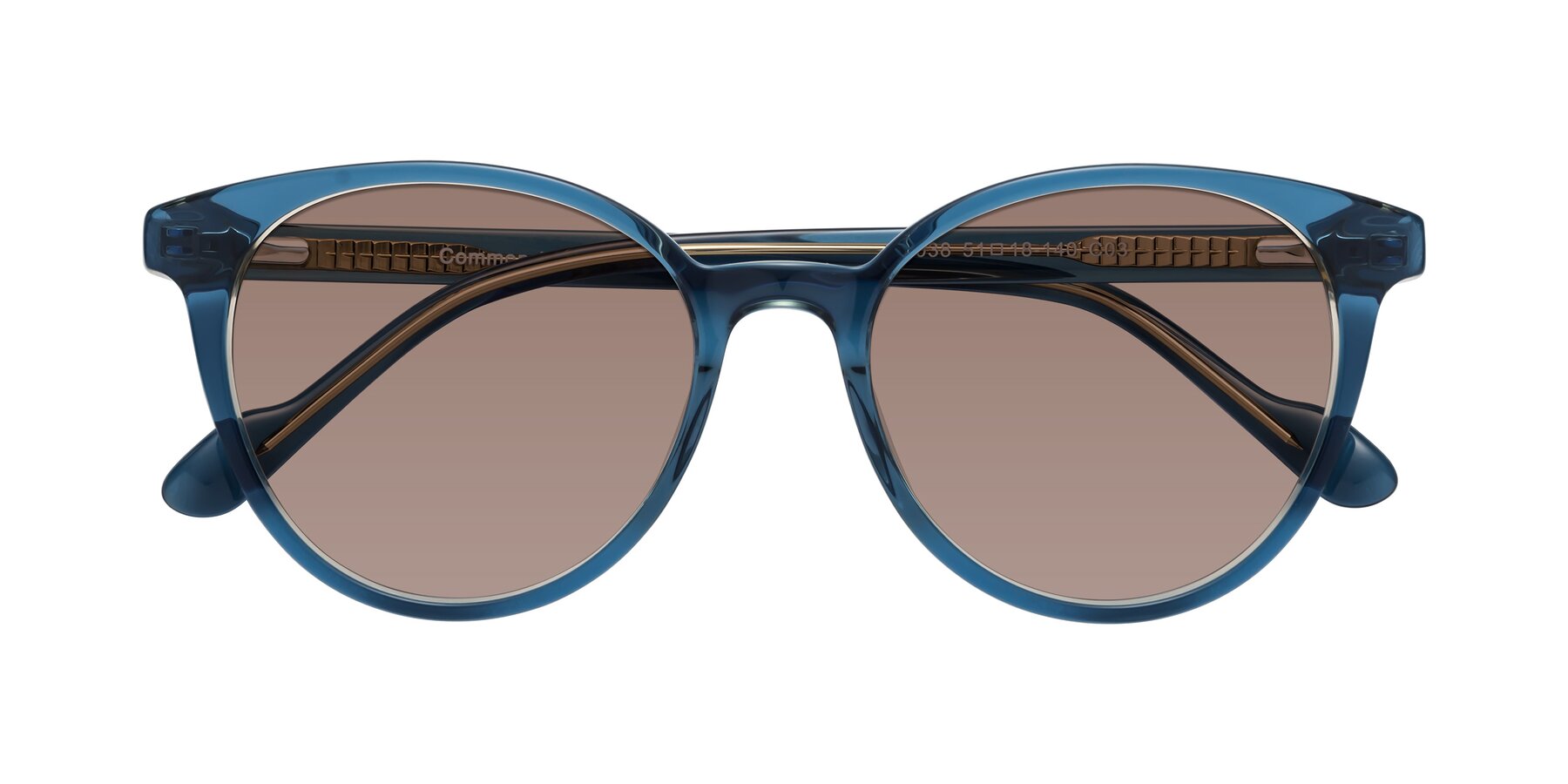 Folded Front of Common in Blue with Medium Brown Tinted Lenses