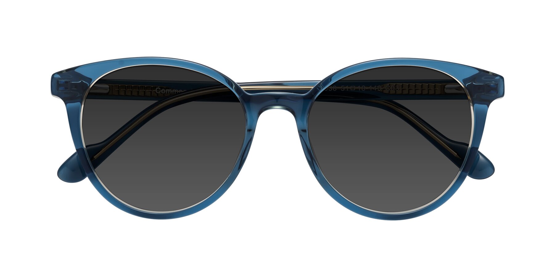 Folded Front of Common in Blue with Gray Tinted Lenses