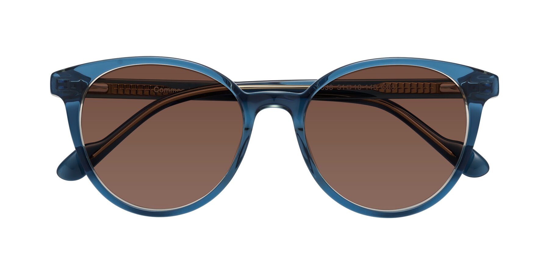 Folded Front of Common in Blue with Brown Tinted Lenses