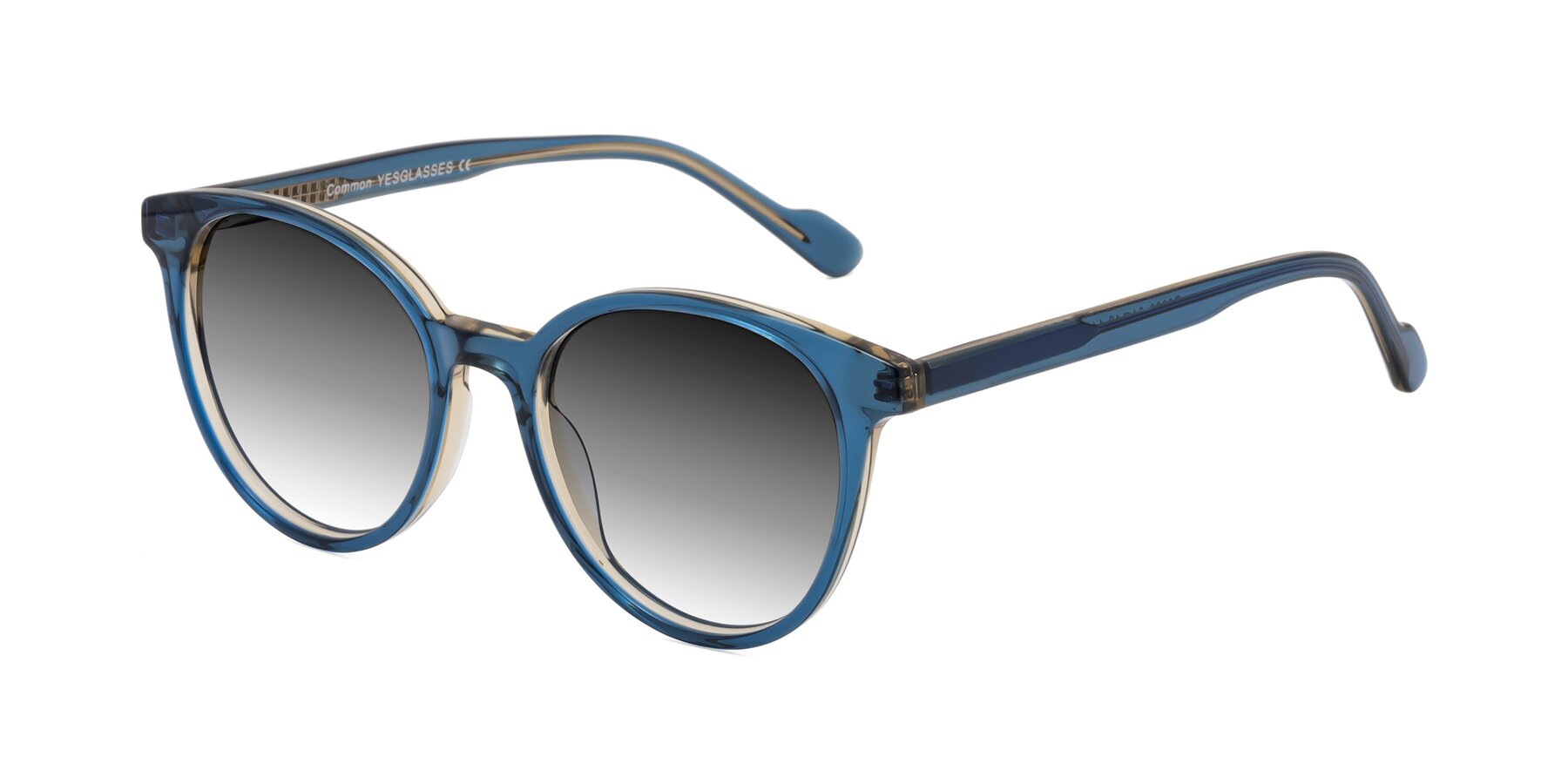 Angle of Common in Blue with Gray Gradient Lenses