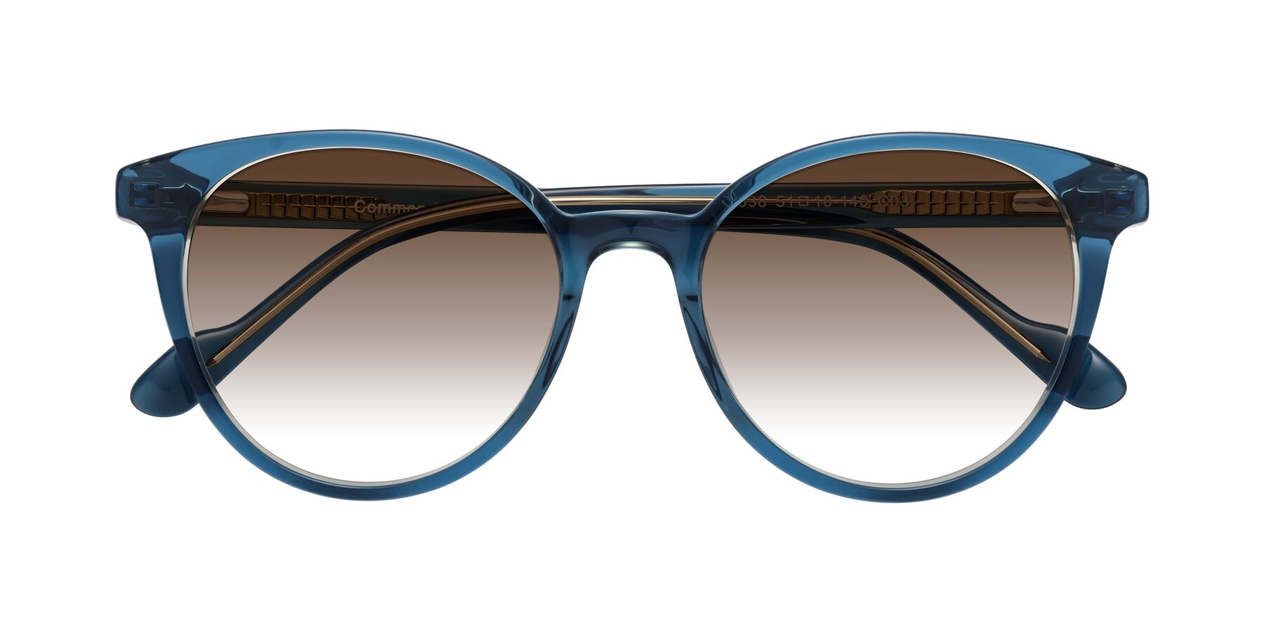 Folded Front of Common in Blue with Brown Gradient Lenses