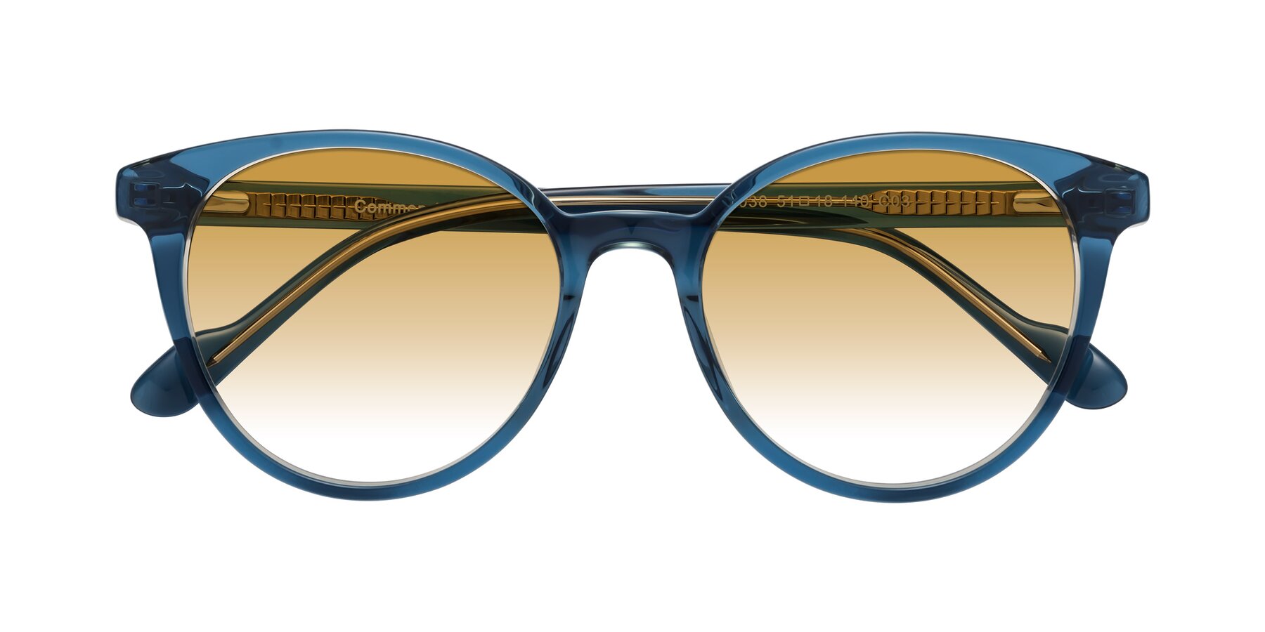 Folded Front of Common in Blue with Champagne Gradient Lenses