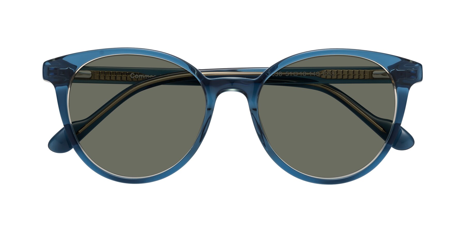 Folded Front of Common in Blue with Gray Polarized Lenses