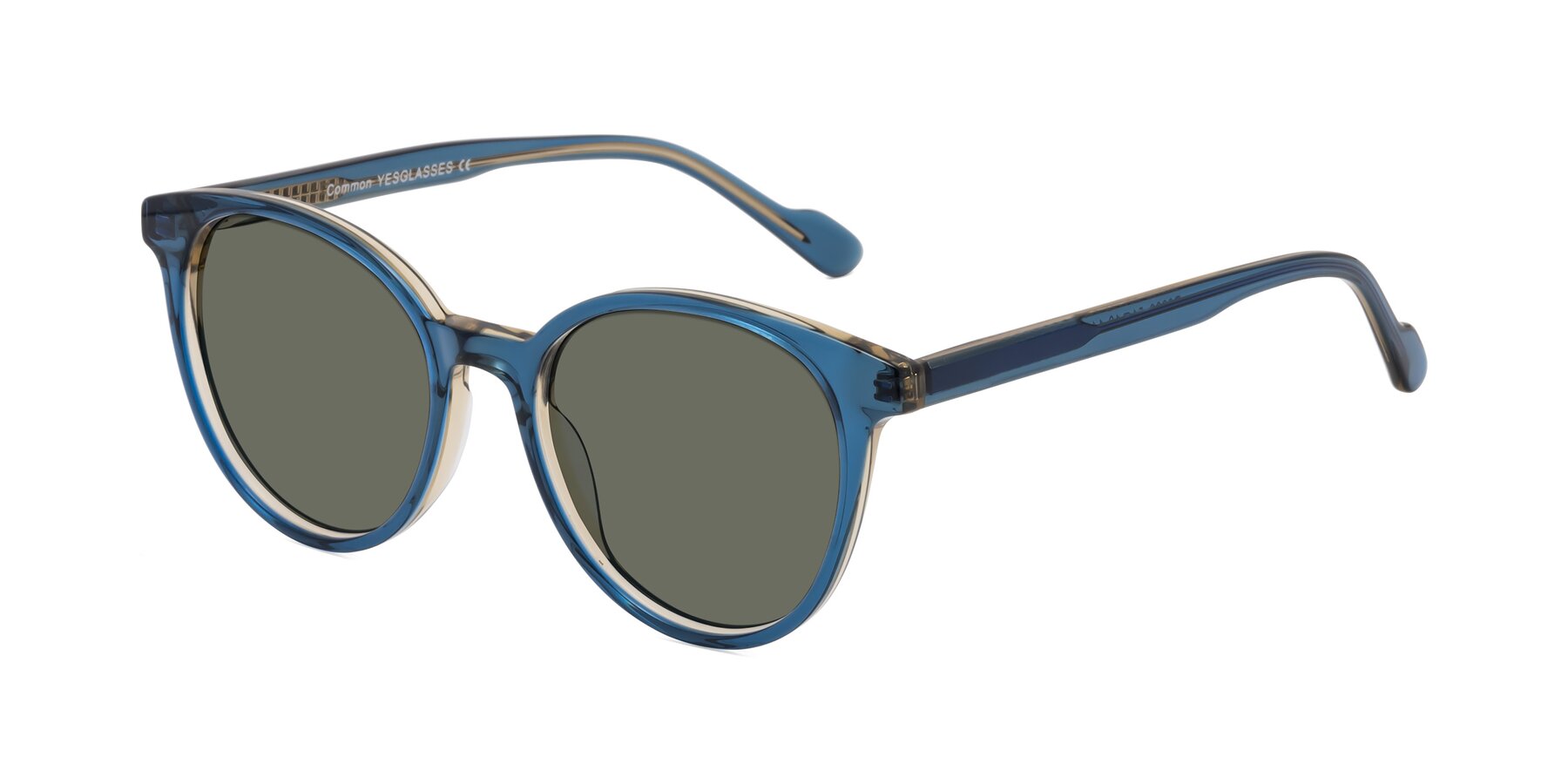 Angle of Common in Blue with Gray Polarized Lenses