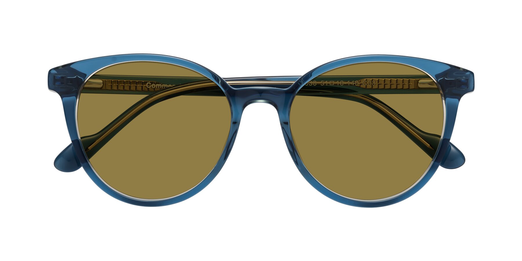 Folded Front of Common in Blue with Brown Polarized Lenses