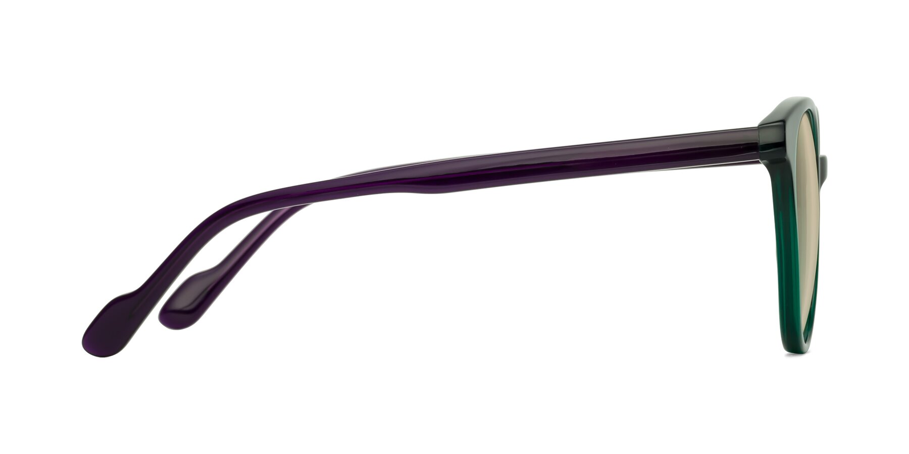 Side of Common in Green-Purple with Light Brown Tinted Lenses