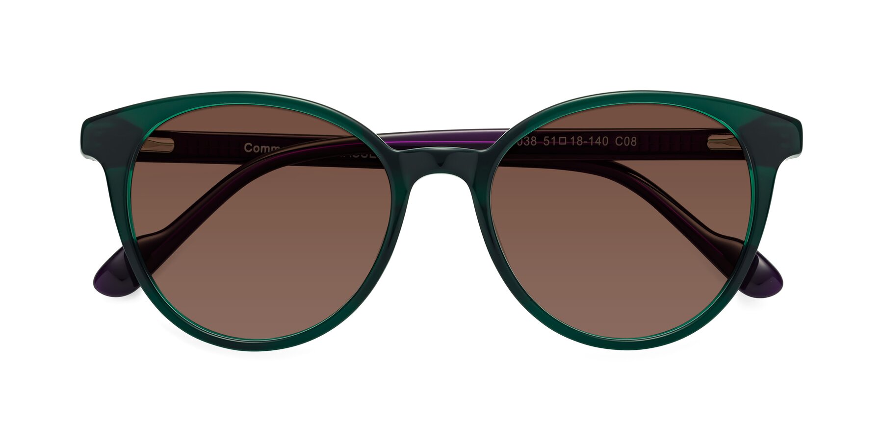 Folded Front of Common in Green-Purple with Brown Tinted Lenses