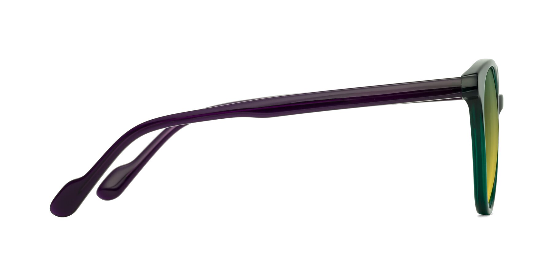 Side of Common in Green-Purple with Green / Yellow Gradient Lenses