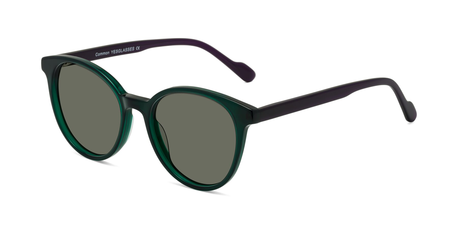 Angle of Common in Green-Purple with Gray Polarized Lenses