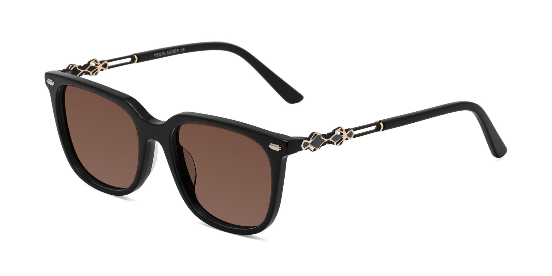 Angle of Dahlia in Black with Brown Tinted Lenses