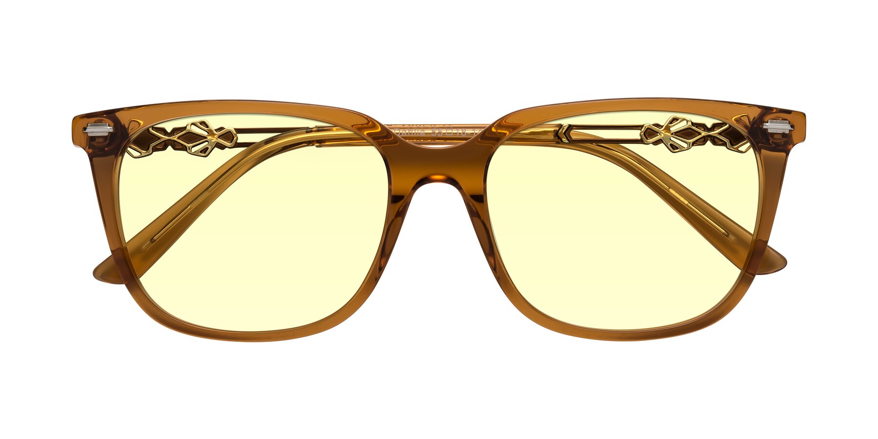 Folded Front of Dahlia in Maple Syrup with Light Yellow Tinted Lenses