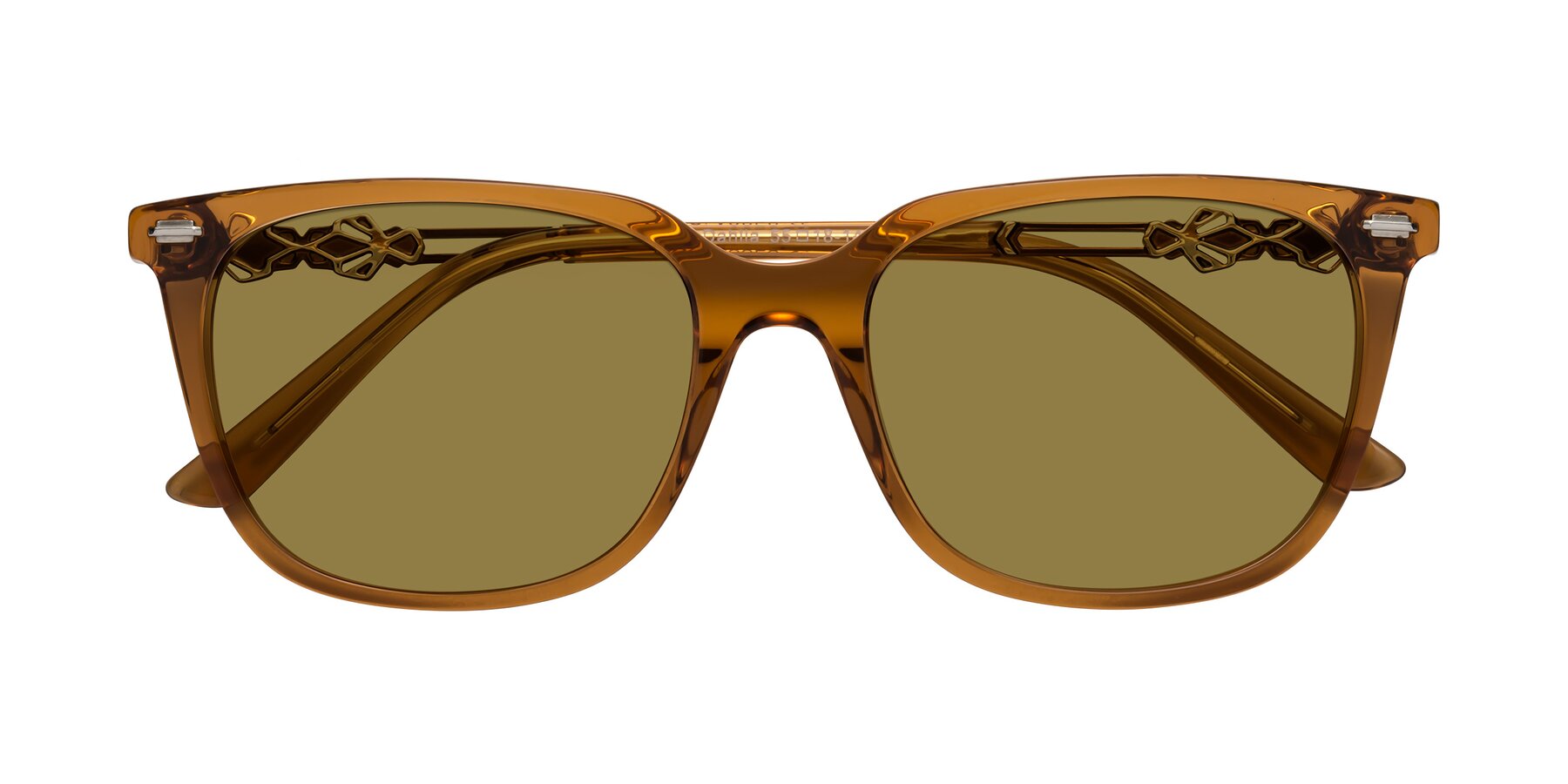 Folded Front of Dahlia in Maple Syrup with Brown Polarized Lenses