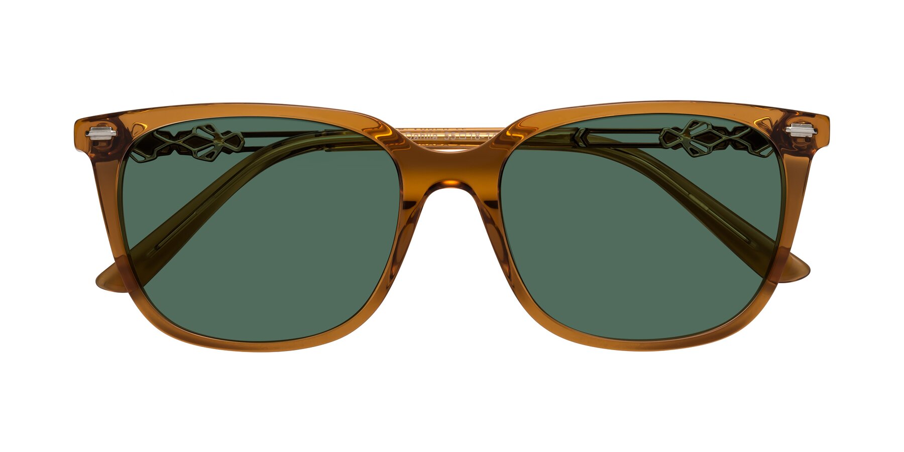 Folded Front of Dahlia in Maple Syrup with Green Polarized Lenses