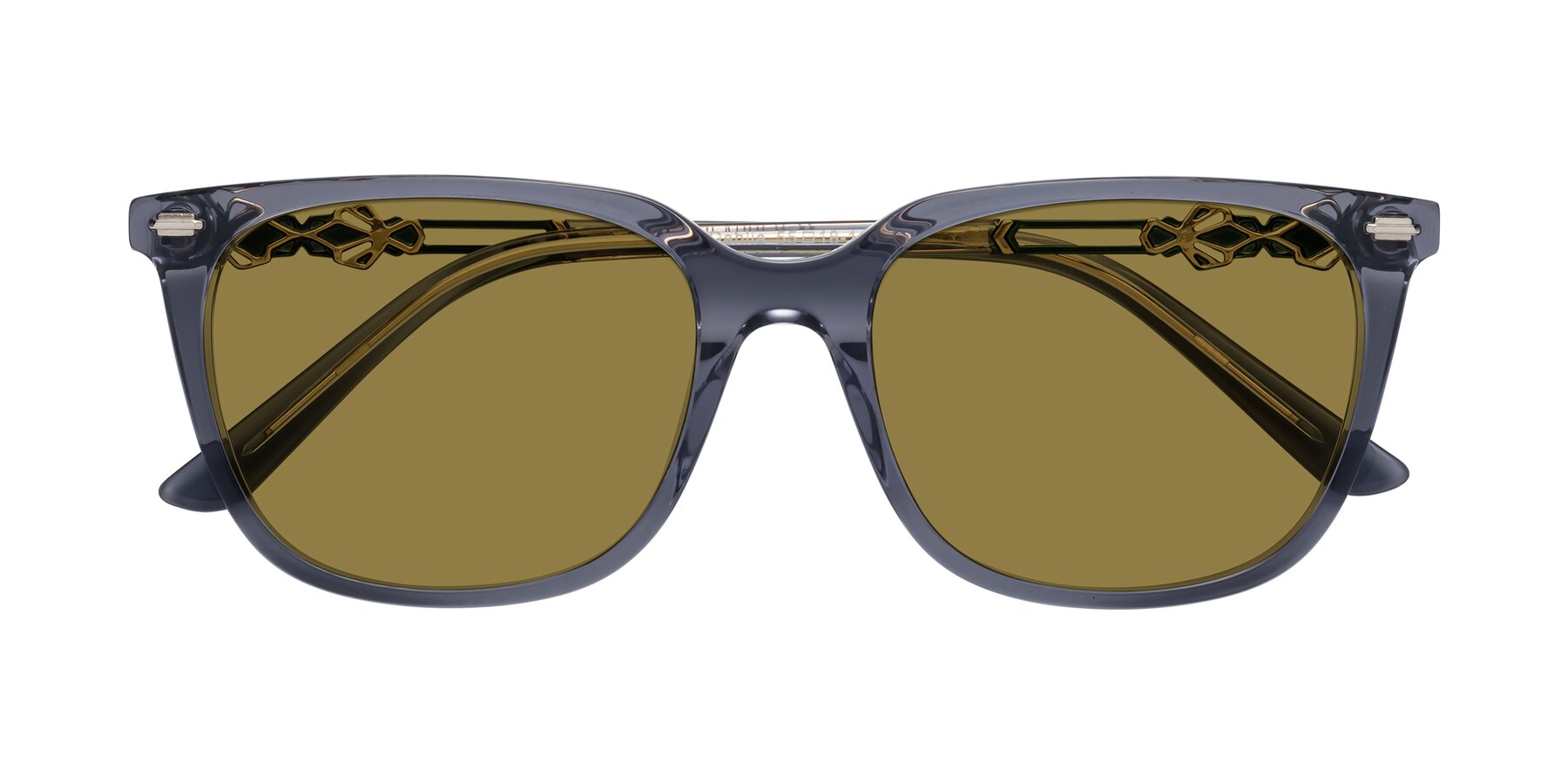 Folded Front of Dahlia in Blue Gray with Brown Polarized Lenses