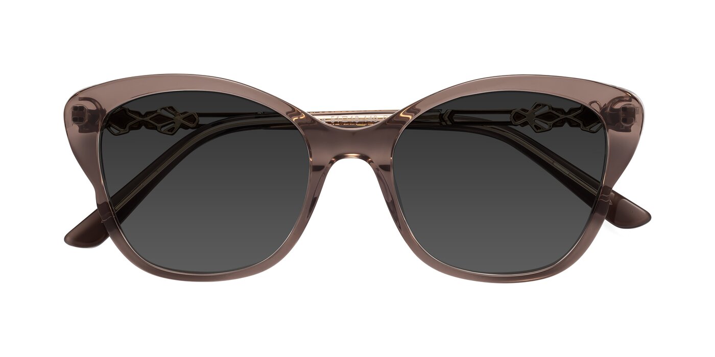 Azalea - Rose Taupe Tinted Sunglasses