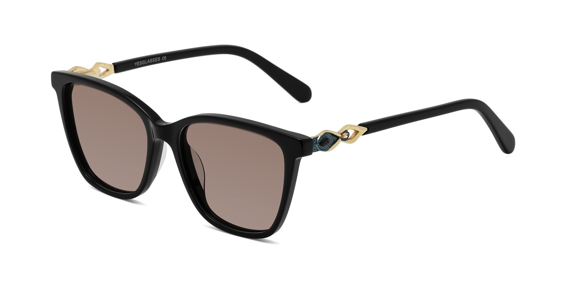 Angle of Mothe in Black with Medium Brown Tinted Lenses