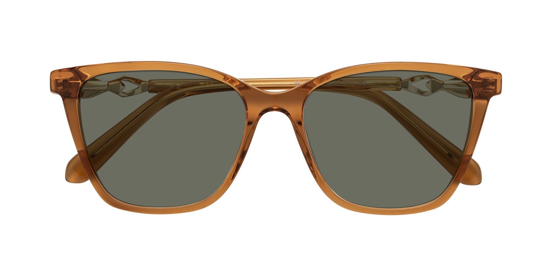 Folded Front of Mothe in Maple Syrup with Gray Polarized Lenses