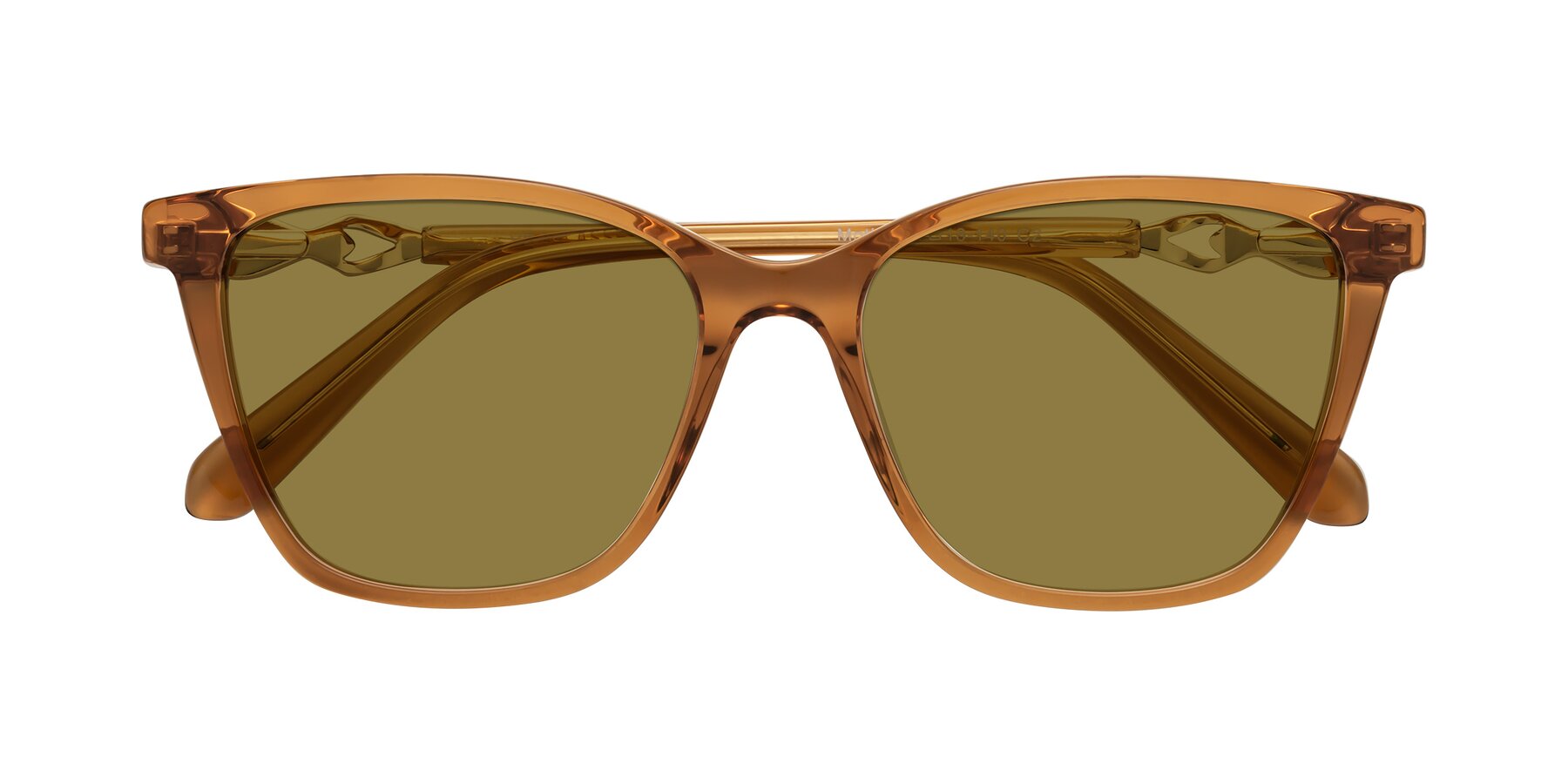 Folded Front of Mothe in Maple Syrup with Brown Polarized Lenses