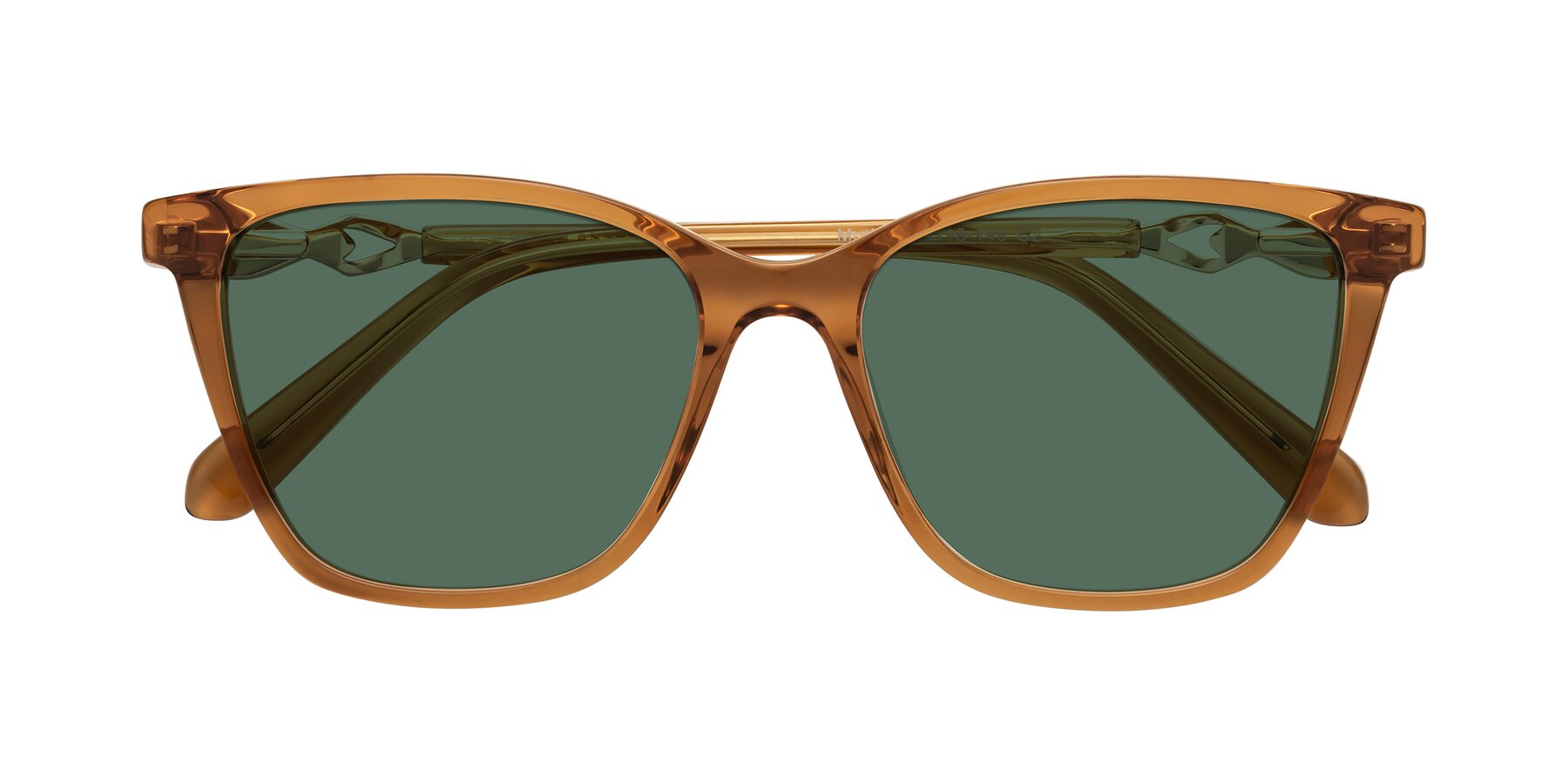 Folded Front of Mothe in Maple Syrup with Green Polarized Lenses