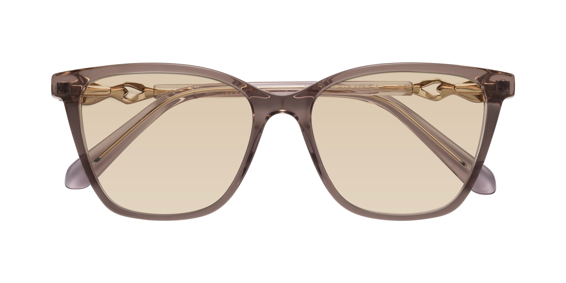 Folded Front of Mothe in Rose Taupe with Light Brown Tinted Lenses