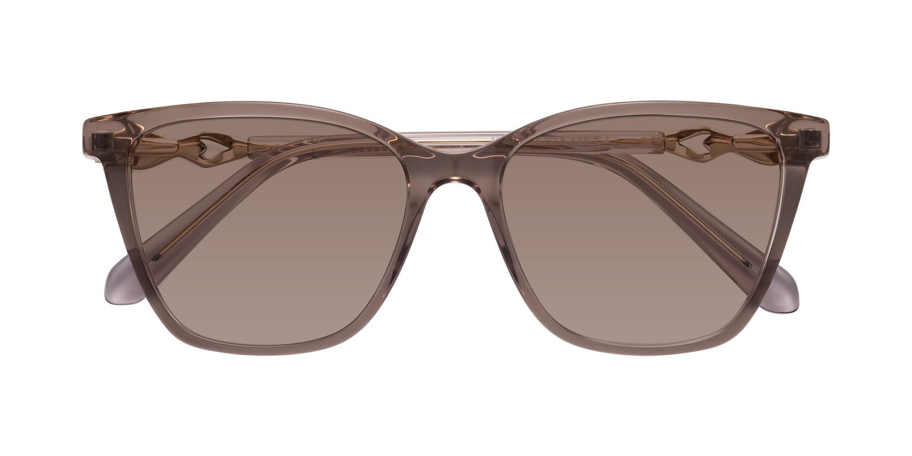 Folded Front of Mothe in Rose Taupe with Medium Brown Tinted Lenses