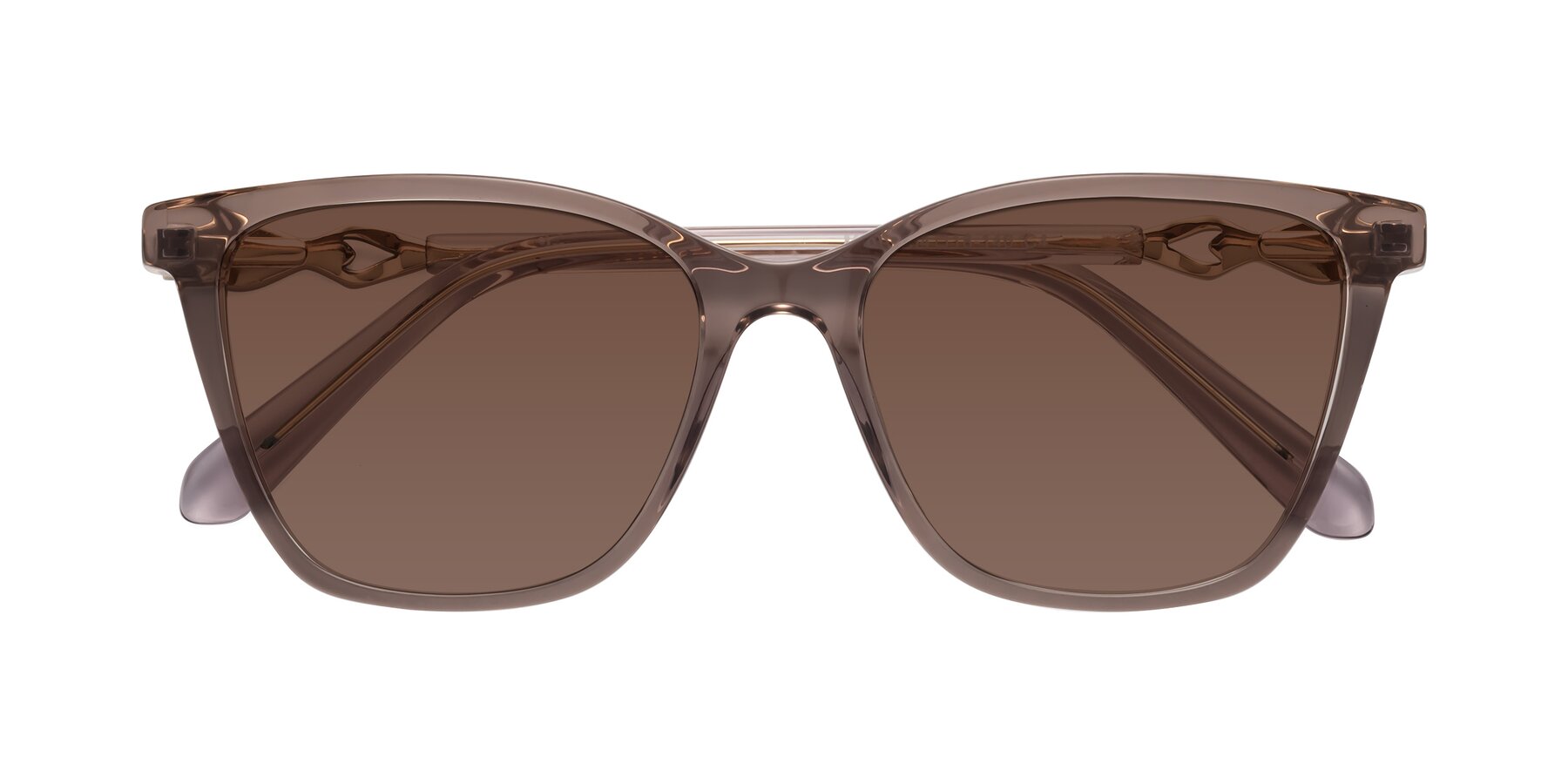 Folded Front of Mothe in Rose Taupe with Brown Tinted Lenses