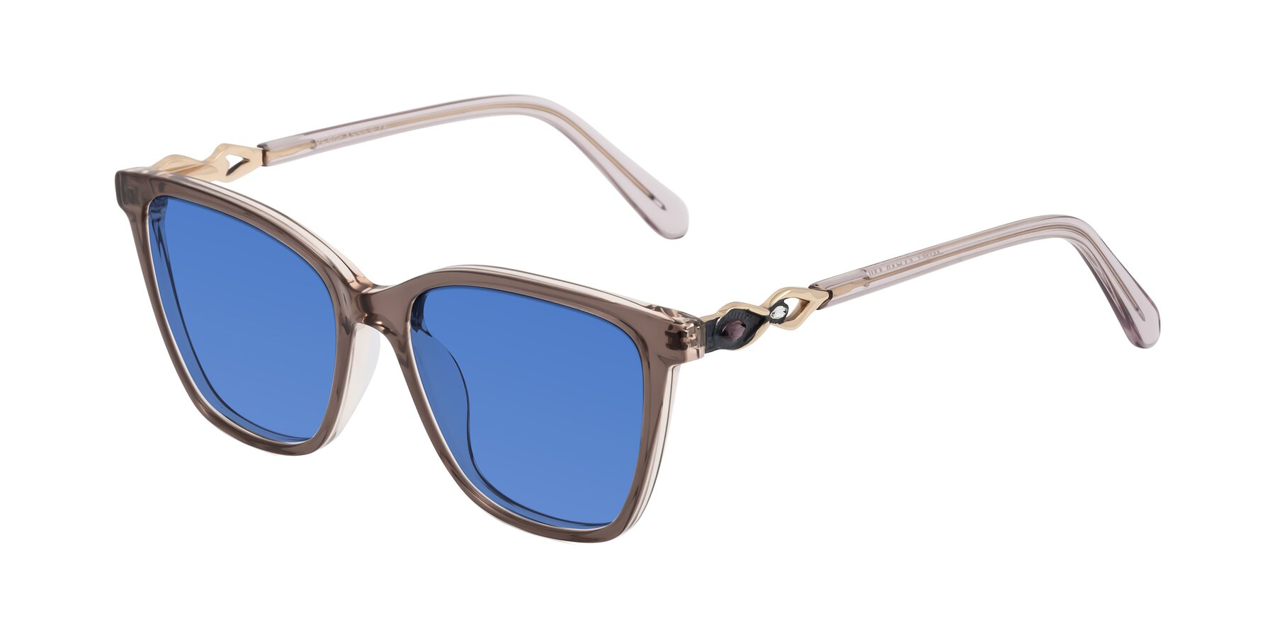 Angle of Mothe in Rose Taupe with Blue Tinted Lenses