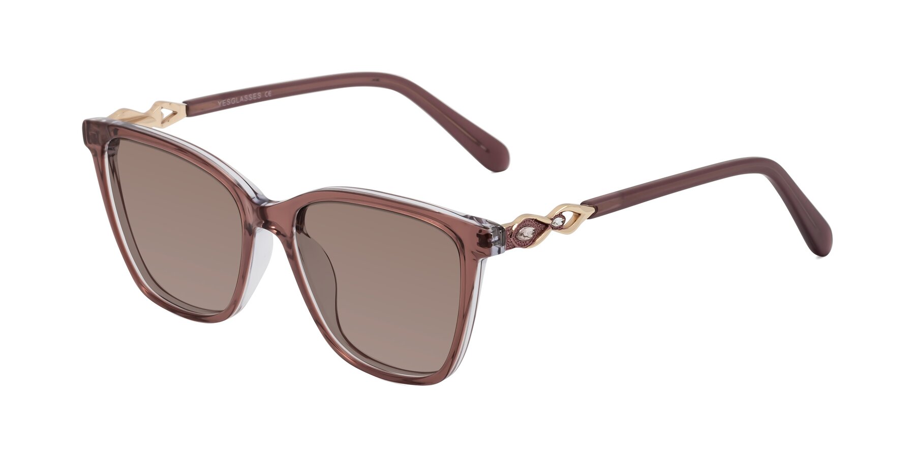 Angle of Mothe in Mauve Taupe with Medium Brown Tinted Lenses