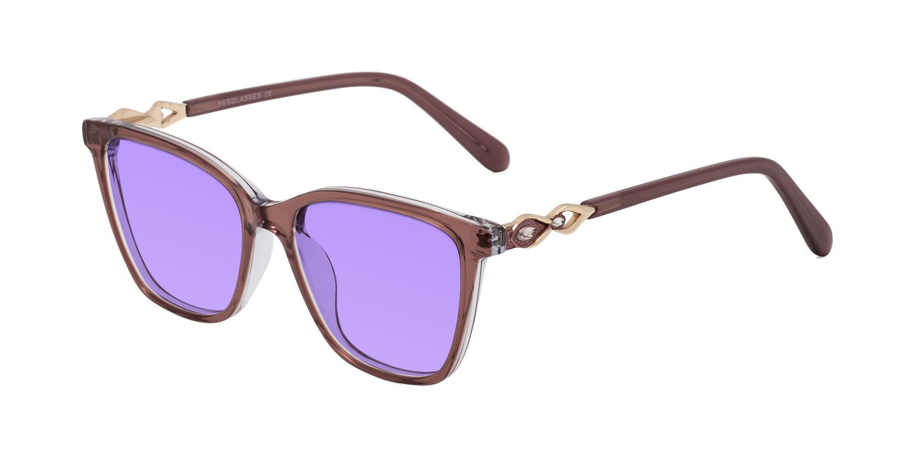 Angle of Mothe in Mauve Taupe with Medium Purple Tinted Lenses