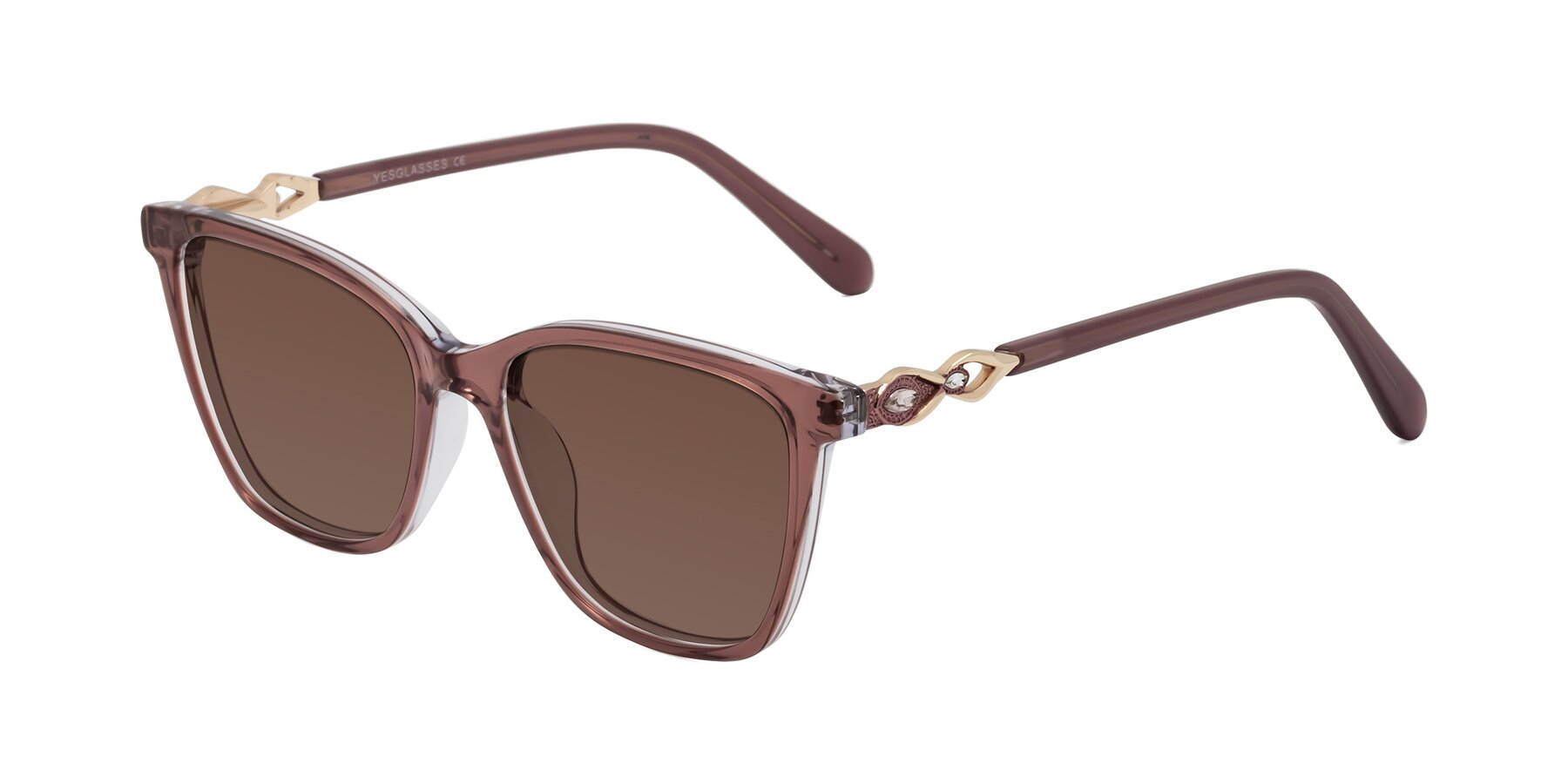 Angle of Mothe in Mauve Taupe with Brown Tinted Lenses