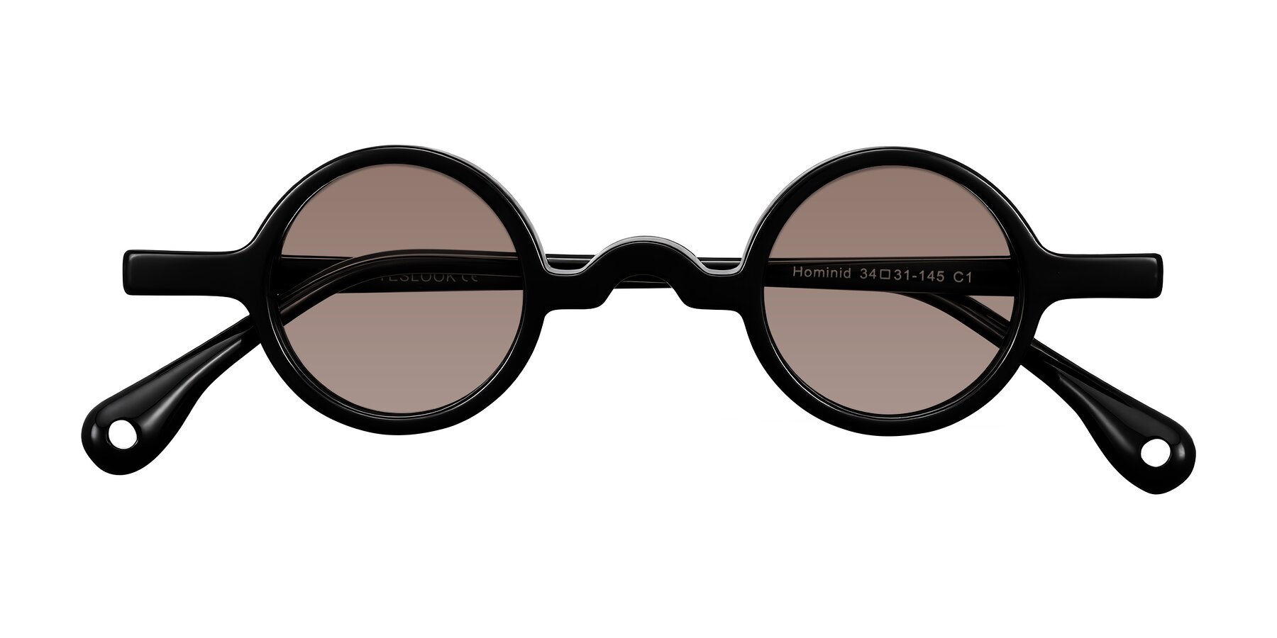 Folded Front of Hominid in Black with Medium Brown Tinted Lenses