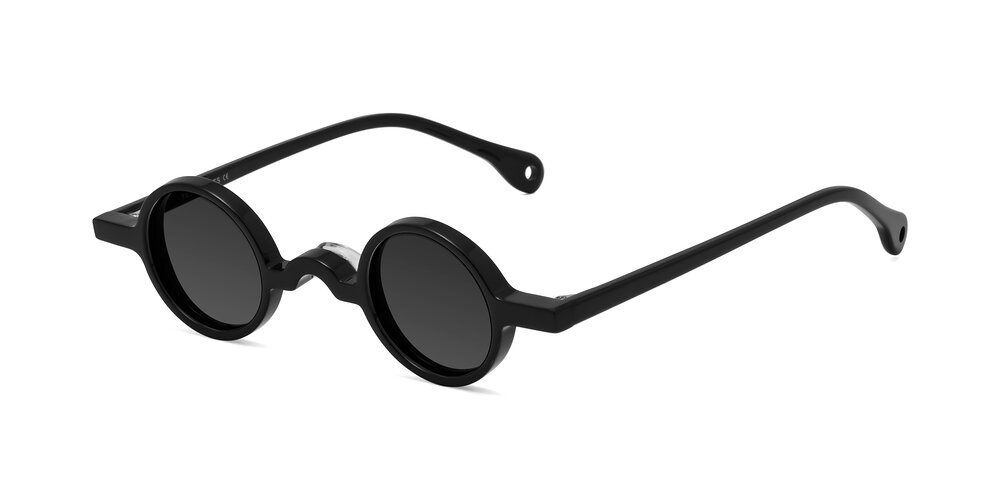 Sunglasses with Black Grey Tinted Lenses main image 1