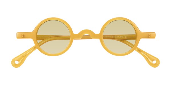 Front of Hominid in Honey